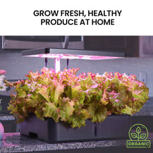 Load image into Gallery viewer, apartment herb garden + herb greenhouse + best pots for herbs + indoor herb garden australia
