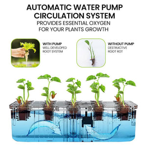 hydroponics set up + hydroponic systems + hydroponic vegetables