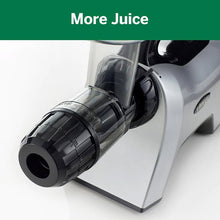 Load image into Gallery viewer, juicers + vegetable juicer