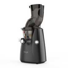 Load image into Gallery viewer, Kuvings E8000 Professional Cold Press Juicer
