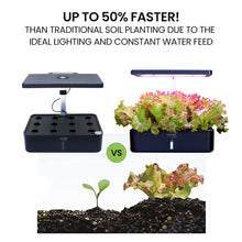 Load image into Gallery viewer, mini herb garden + small herb garden + kitchen herb planter + indoor herb garden australia