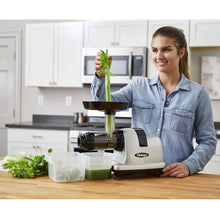 Load image into Gallery viewer, mm900hds low speed masticating celery juicer