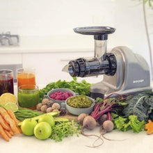 Load image into Gallery viewer, BioChef Axis Horizontal Cold Press Juicer-Juicer-Just Juicers