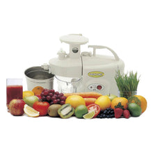 Load image into Gallery viewer, Green Power KP-E1304S Twin Gear Juice Extractor + greenpower juicer + green power juice