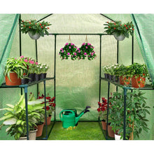 Load image into Gallery viewer, greenhouses and green houses