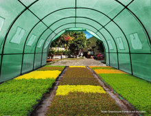 Load image into Gallery viewer, Greenhouse Replacement PE Cover Greenfingers 3m x 2m x 2m-Greenhouse-Just Juicers