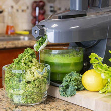 Load image into Gallery viewer, Greenstar Pro Commercial Slate Twin Gear Masticating Juicer-Juicer-Just Juicers