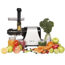 Load image into Gallery viewer, Oscar Neo DA 1200 Horizontal Cold Press Juicer (Silver / Red)-Juicer-Just Juicers