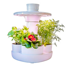 Load image into Gallery viewer, UrbiPod Smart Indoor Garden-Hydroponics-Just Juicers-indoor herb garden australia