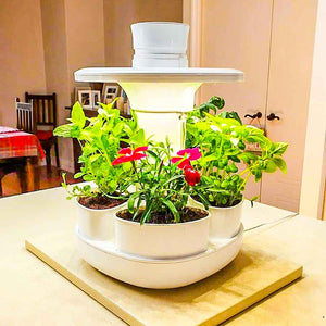 UrbiPod Smart Indoor Garden-Hydroponics-indoor herb garden kit australia
