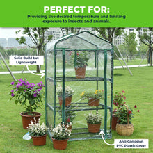 Load image into Gallery viewer, mini greenhouses australia and mini glass greenhouse