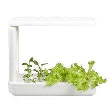 Load image into Gallery viewer, VegeBox™ Kitchen Indoor Hydroponic Garden-Hydroponics-Just Juicers