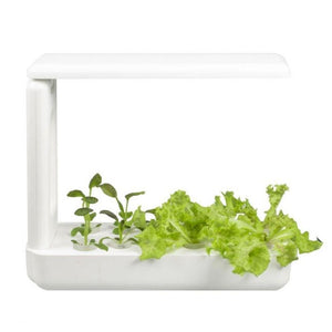 VegeBox™ Kitchen Indoor Hydroponic Garden-Hydroponics-Just Juicers