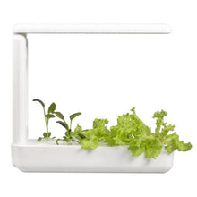 Load image into Gallery viewer, VegeBox™ Kitchen Indoor Hydroponic Garden-Hydroponics-Just Juicers