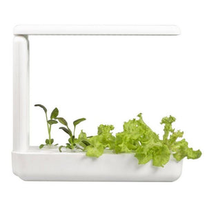 VegeBox™ Kitchen Indoor Hydroponic Garden-Hydroponics-Just Juicers