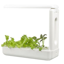 Load image into Gallery viewer, VegeBox™ Kitchen Indoor Hydroponic Garden-Hydroponics-Just Juicers