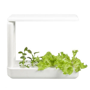 VegeBox™ Table - Indoor Hydroponic Garden-Hydroponics-Just Juicers